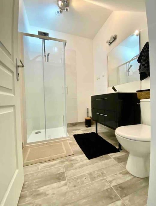 Appartement Centre Ville Saint-Amand-Mont-Rond Exteriör bild